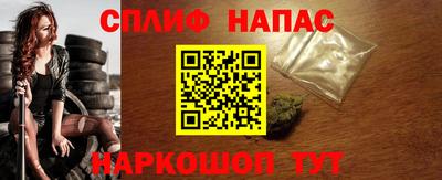 спайс Берёзовский