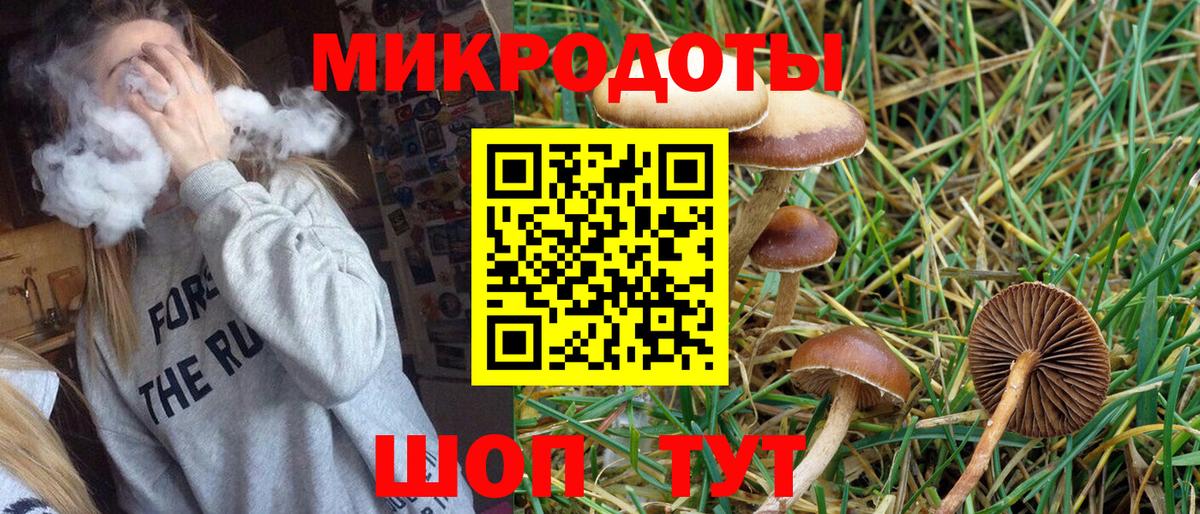 Псилоцибиновые грибы мухоморы Белогорск