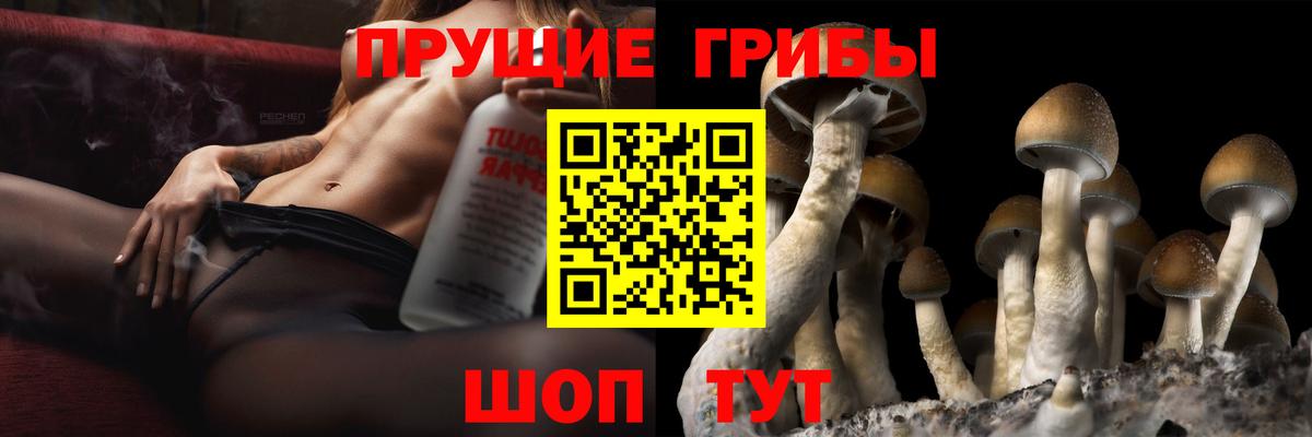 Белогорск  Псилоцибиновые грибы Psilocybine cubensis  купить закладку  Галлюциногенные грибы MAGIC MUSHROOMS  Вход с VPN 